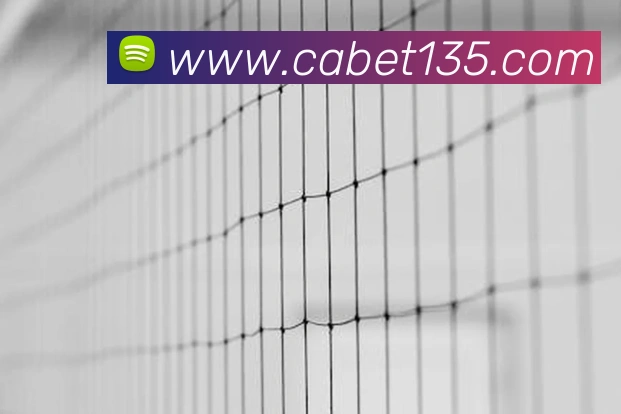 ca亚洲城APP 体育赛事宣传图